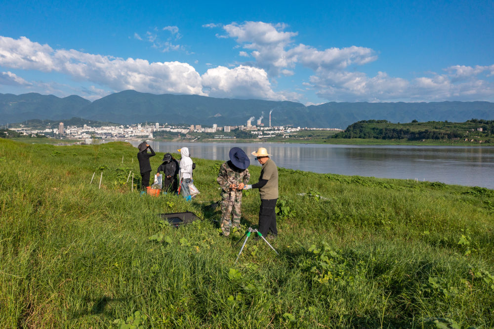 首页-银娱优越会