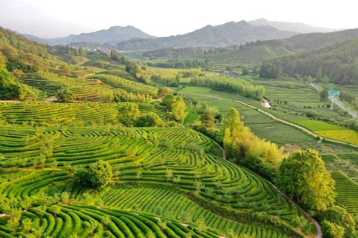 首页-银娱优越会
