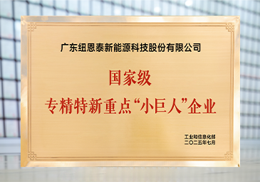 2025-07-国度级专精特新沉点“幼巨人”企业